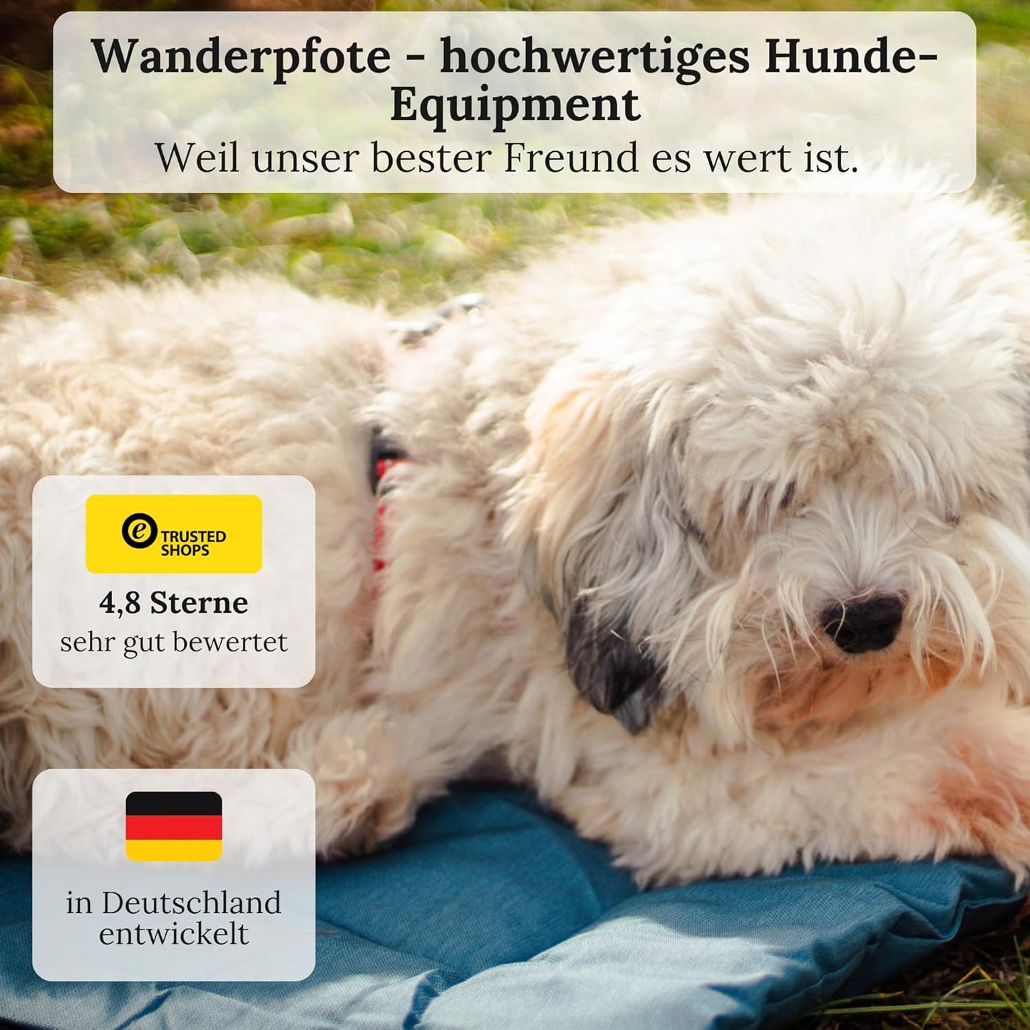 Dog Blanket for Travel, 75 x 50 cm, Washable, Orthopaedic, Waterproof, High-Quality Design, Outdoor Dog Mat, Car (Blue, M)