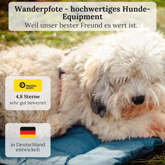 Dog Blanket for Travel, 75 x 50 cm, Washable, Orthopaedic, Waterproof, High-Quality Design, Outdoor Dog Mat, Car (Blue, M)